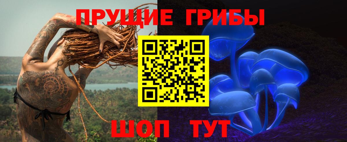 Галлюциногенные грибы Psilocybine cubensis  Вход с VPN  Заинск  Псилоцибиновые грибы Psilocybine cubensis 